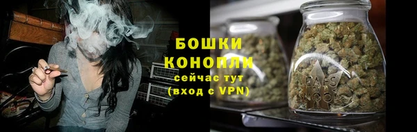стафф Бородино