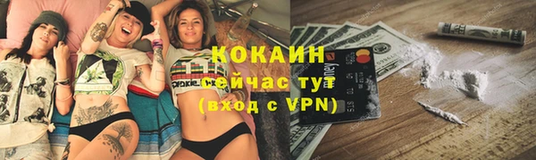 стафф Бородино