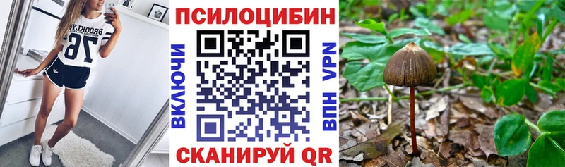 blacksprut tor  купить   Калининград  Псилоцибиновые грибы GOLDEN TEACHER 